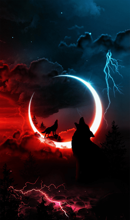 [Image: 1_5.png]