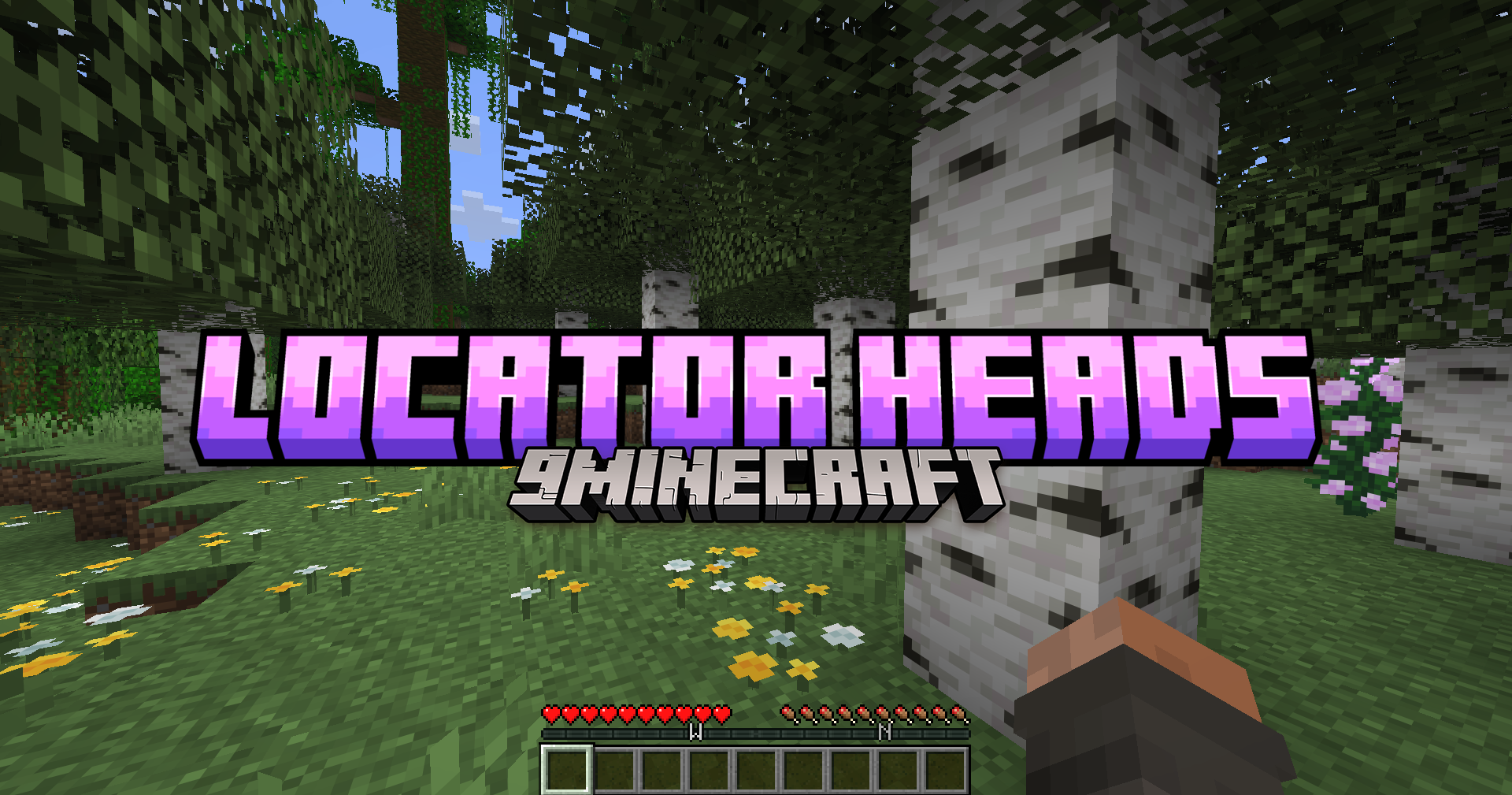 [Image: Locator-Heads-Mod-Thumbnail.png]