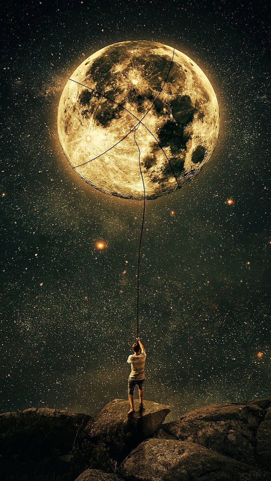 [Image: Moonlight_night-75e41b84-76dd-456e-9dea-...368f_2.jpg]