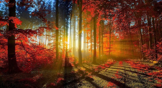 [Image: beautiful-nature-hd-wallpaper_042322367_304.jpg]
